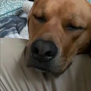 Meet your Posher, William